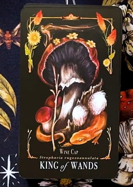 Midnight Magic: A Tarot Deck of Mushrooms